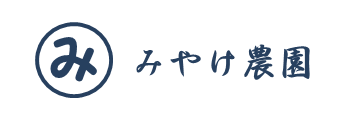 ホームページからはこちら